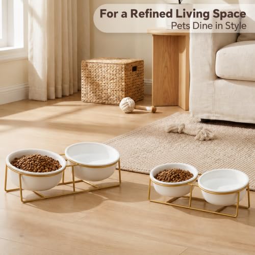 Elevated Dog Bowls for Small Dogs (Small / White×2)