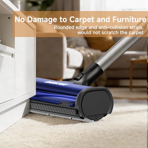 Pet Hair Remover for Carpet (blue)