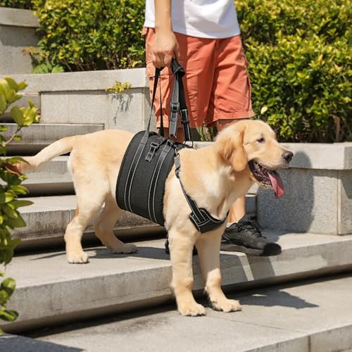 Dog Lift Harness Sling (Large / Black1)