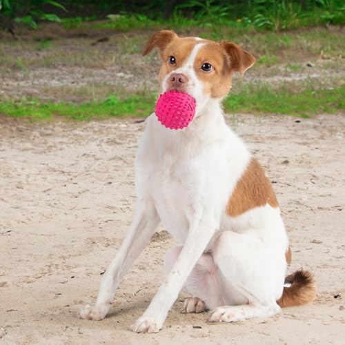 Squeaky Dog Toys with Soft Durable Fabric for Small (Fuchsia / Large)