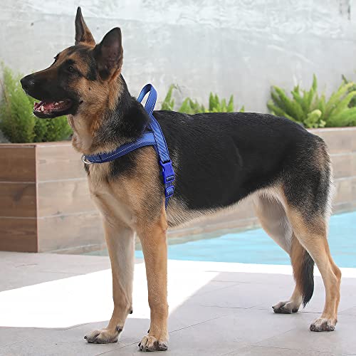 No Pull Dog Harness for Large Dogs (XL: chest 29.5"-39.4" / Navy Blue)