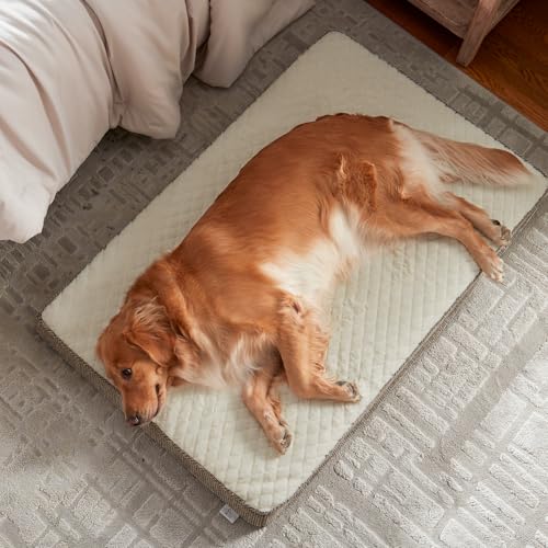 Orthopedic Dog Bed for Extra Large Dogs (XXL(47"x29") / Beige)