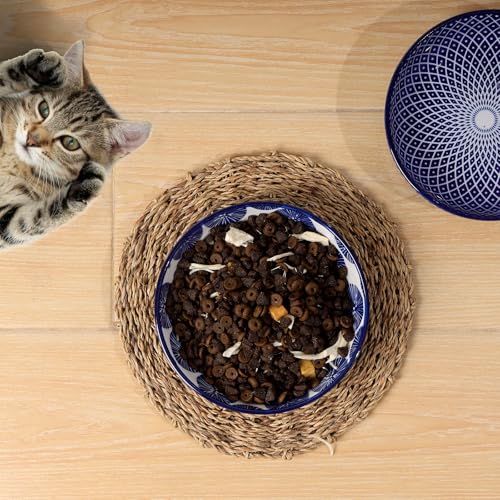 5.6 Inch Ceramic Cat Bowls (5.6 Inch, Set of 6 / Vintage Blue)