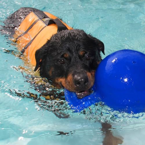 Tug-n-Toss - Heavy Duty Chew Ball w/ Handle (Blue, 6") for Medium Breeds (Blue / Medium (6 in))