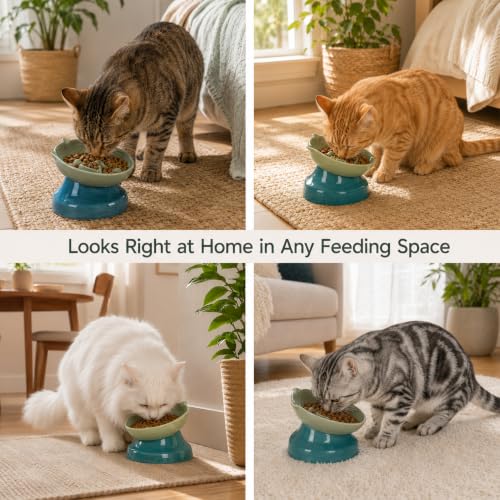 Ceramic Slow Feeder Cat Bowl (Green)
