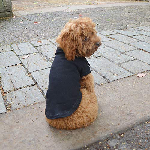Basic Dog Polo Shirts Premium Cotton (XXL (-55lbs) / Black)