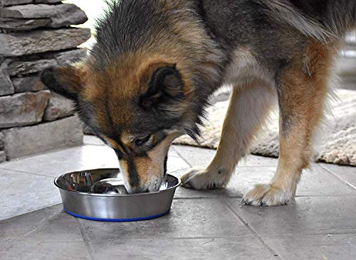 OurPets DuraPet Slow Feed Premium Stainless Steel Bowl (Medium (4.5 Cups))