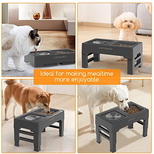 2-in-1 Elevated Slow Feeder Dog Bowls with No-Spill Water Bowl (Grey / Slow Feeder)