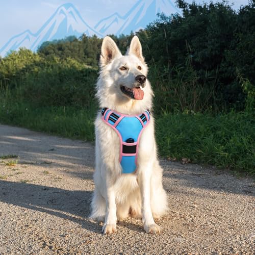 Dog Harness for Large Dogs (X-large / Pink & Sky Blue)