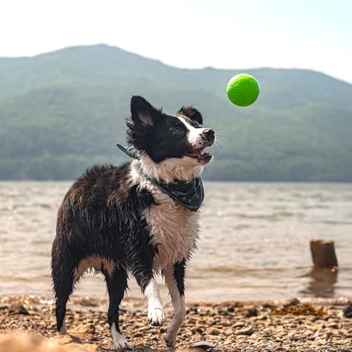 Medium Soccer Ball Floating (6 Inch Diameter / Apple Green)