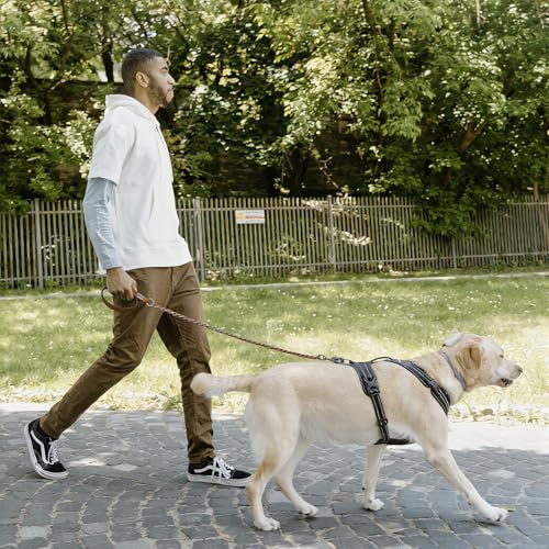 Chain Dog Leash (Brown / 5.2FT(80-150lb))