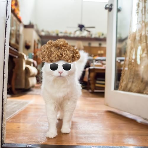 Cat Apparel Cat Gold Afro Wig with White Small Glasses Styling Cute Funny Pet Hair Accessories Decoration for Halloween (gold)