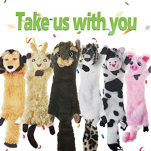 Dog Squeaky Toy No Stuffing 6 Pack (For Medium and Large Breed / 6 Pack - Variety)