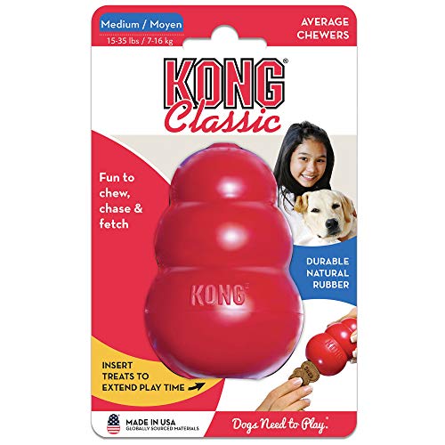 Classic Stuffable Dog Toy (Medium (Pack of 1))