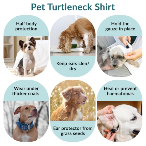 Dog Medical Shirt Neck Cover (Turquoise / 3XL(Chest: 34.3"))
