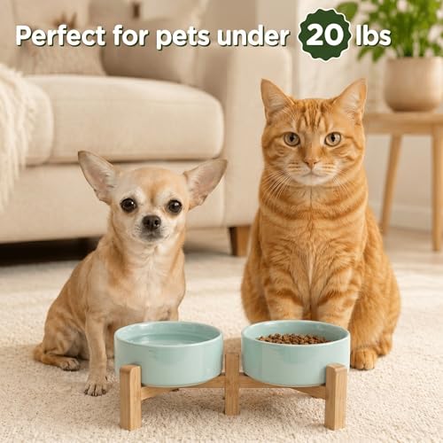 Elevated Dog Bowls Ceramic (5.1 in - 1.7 cups / Light Green)