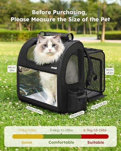 Cat Backpack Expandable (Black / 15.4"L x 11.0"W x 19.0"H)