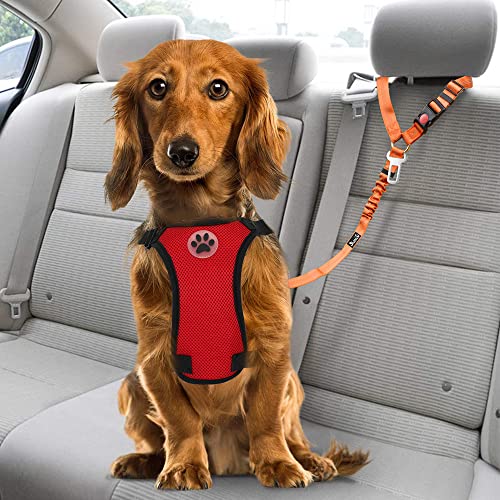 Dog Seat Belt for Car (E.Orange)