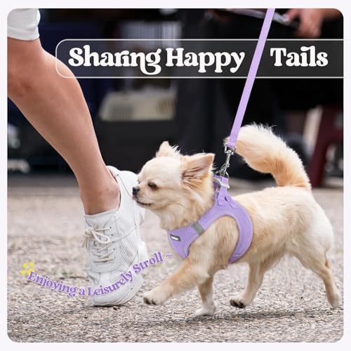 Dog Harness Medium Sized and Leash Set (Light Purple / Xl (chest: 20 - 21.8"))