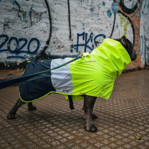 Dog Raincoat Waterproof Rain Jacket w (Neon White Navy Blue / 4XL)