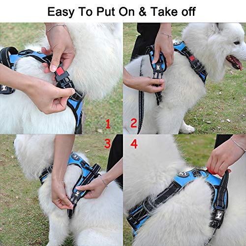 No Pull Dog Harness Large with Front Clip & Neck Release Buckle (XL / Blue)