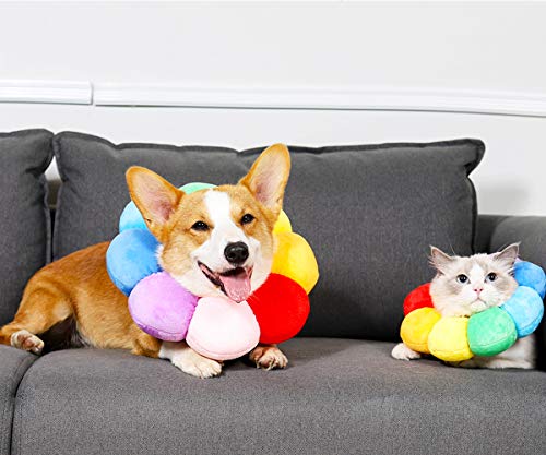 Pet Adjustable Recovery Collar (XS)