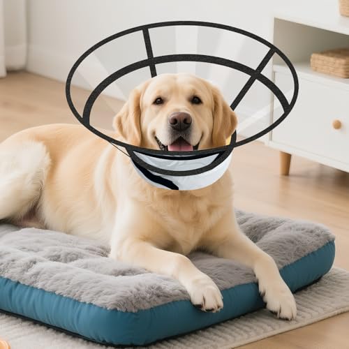 Sponge Core Dog Cone Collar to Stop Licking for Surgery Recovery (XL (Neck: 14"-18") / Grey+Yellow)