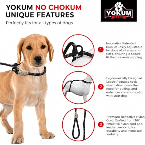 12ft No Pull No Choke Leash Long Rope Dog Leash (12 Ft / BLACK)
