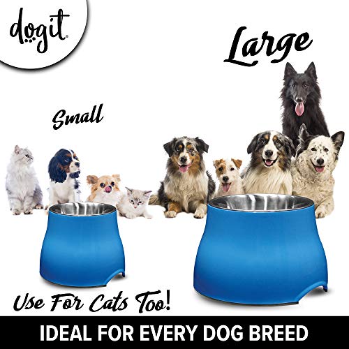 Elevated Dog Bowl (Small / Blue)