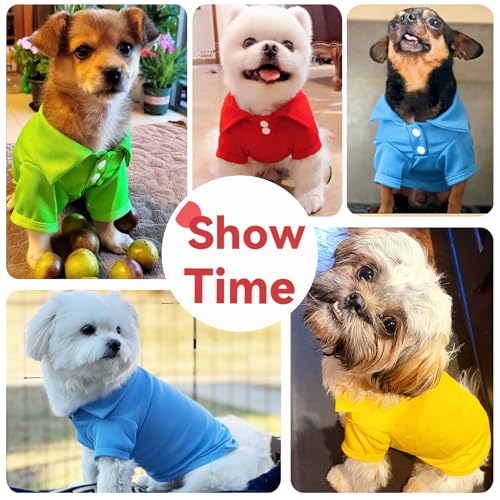4 Pieces Dog Shirts Collared Polo T (Large (Sugget 10-15 lbs) / 4 colors (Red+Green+Yellow+Blue))