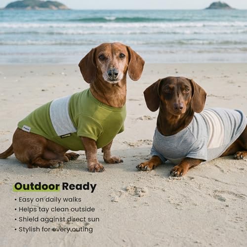 3 Pack Color Block Striped Dog Shirt (Small / Green-Grey-Black)