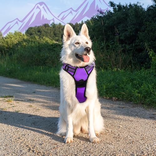 Dog Harness for Large Dogs (X-large / Purple)
