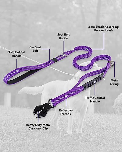 Tactical Bungee Dog Leash (Purple)