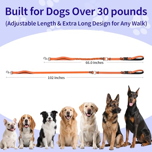 Hands Free Dog Leash by Kazazoo (ORANGE Bungee / M)