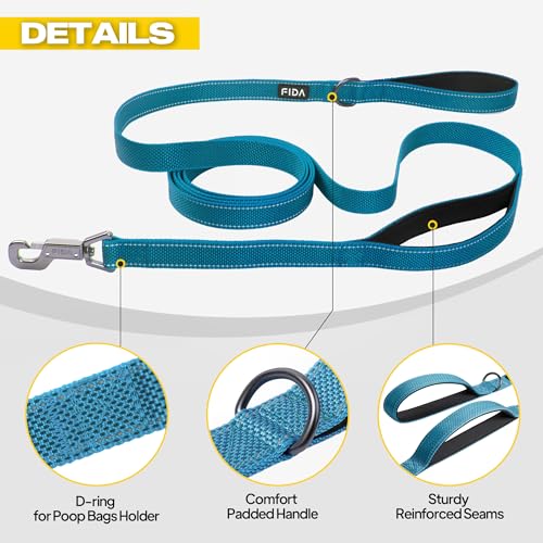 10 FT Heavy Duty Dog Leash (10 Feet (Pack of 1) / Blue)