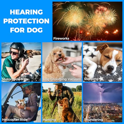 Dog Ear Muffs for Noise Protection (Blue / X-Large)