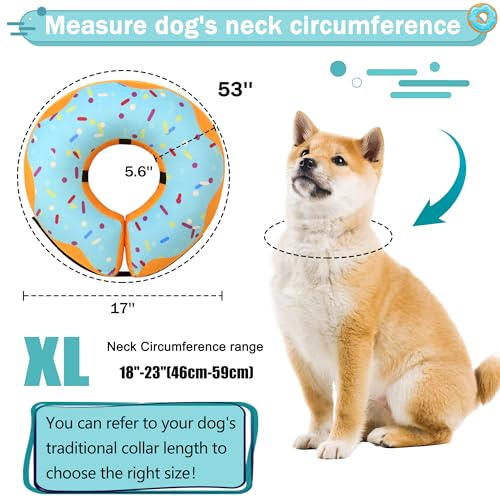 Recovery Donut Collar for Dogs & Cat (Blue / XL(neck 18"-23"))