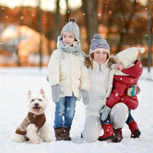 Dog Girl Boy Sweaters (Small / #1 Beige)