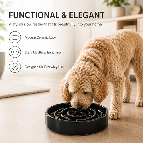Ceramic Slow Feeder Dog Bowl (Black)