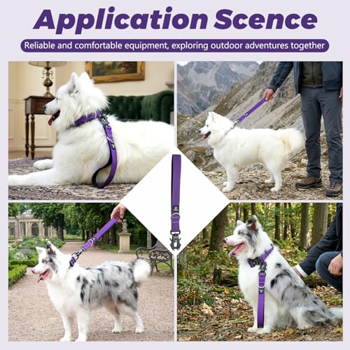 14 Inch Traffic Dog Leash for Large Dogs (Purple)