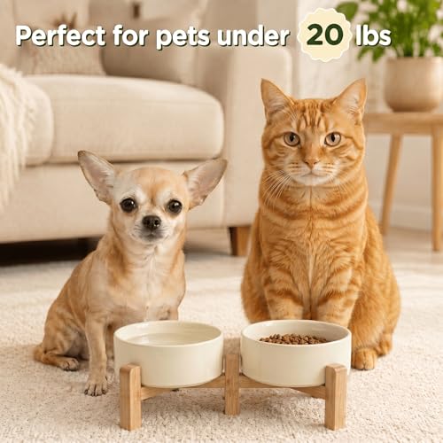 Elevated Dog Bowls Ceramic (5.1 in - 1.7 cups / Beige)
