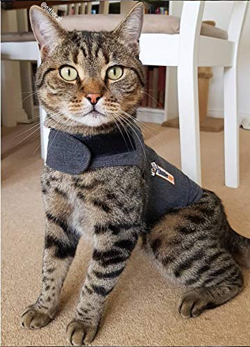 Classic Cat Anxiety Jacket (Medium (9 to 13 lbs))
