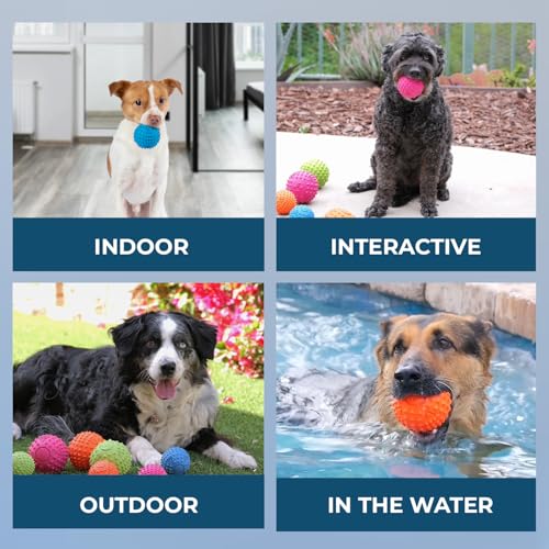 Interactive Squeaky Dog Chew Toy (Fuchsia, Green, Blue, Orange / Medium)