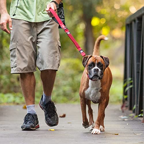 Zero Shock Bungee Dog Leash (Orange / 72-Inch)