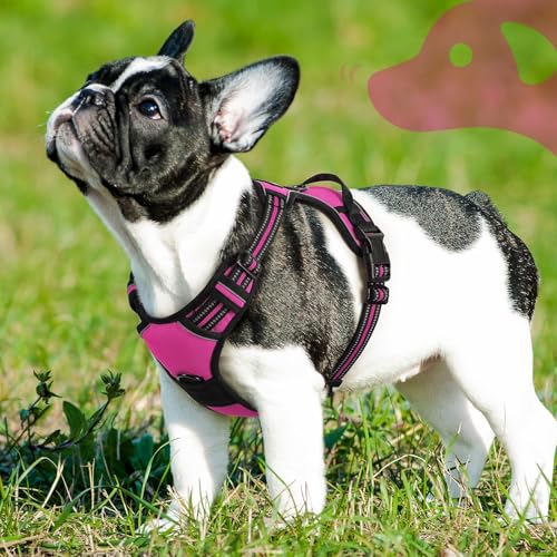 Dog Harness for Small Dogs (Small / Rose Red)