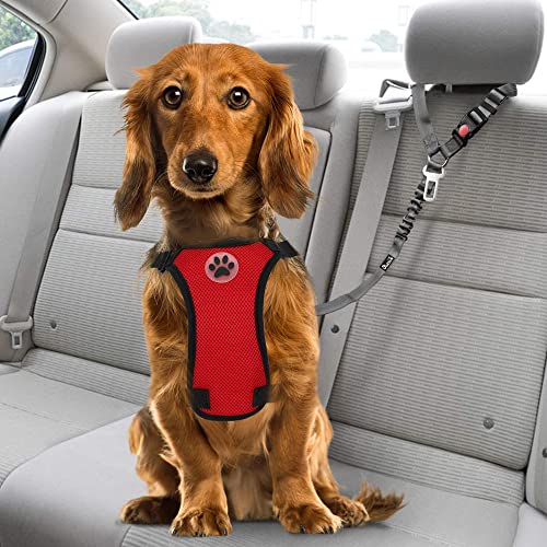 Dog Seat Belt for Car (D.Grey)