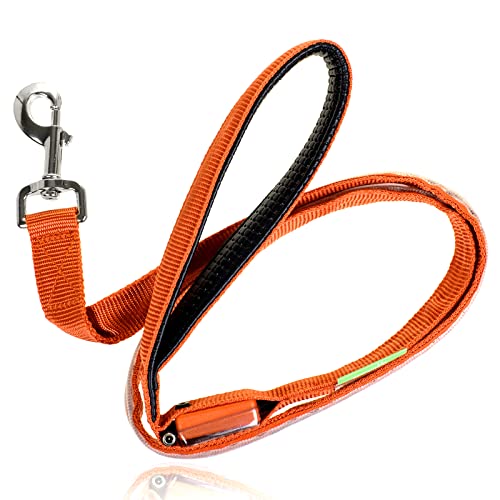 LED Light Up Dog Leash (4 Feet / Bright Orange)