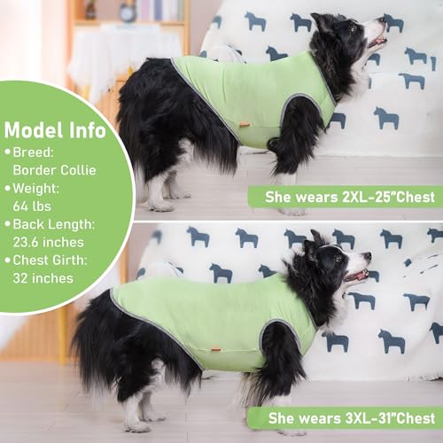 2Pack Dog Shirt for Large Dogs Sun Protection Tank Top for Summer (XXX-Large (55-75lbs) / 5# 2Pack (Green+Grey))