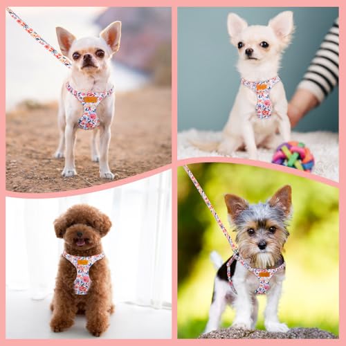 No Pull Dog Harness with Leash for Small Medium Dogs (X-Small(6-11lb) / Flower)