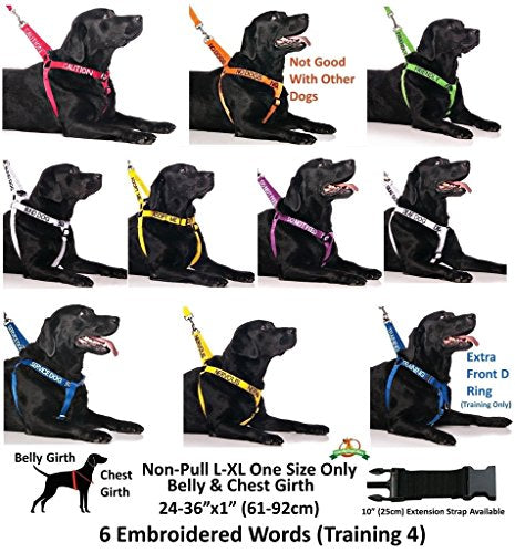 Limited Nervous Yellow Color Coded 2 4 6 Foot Padded Dog Leash